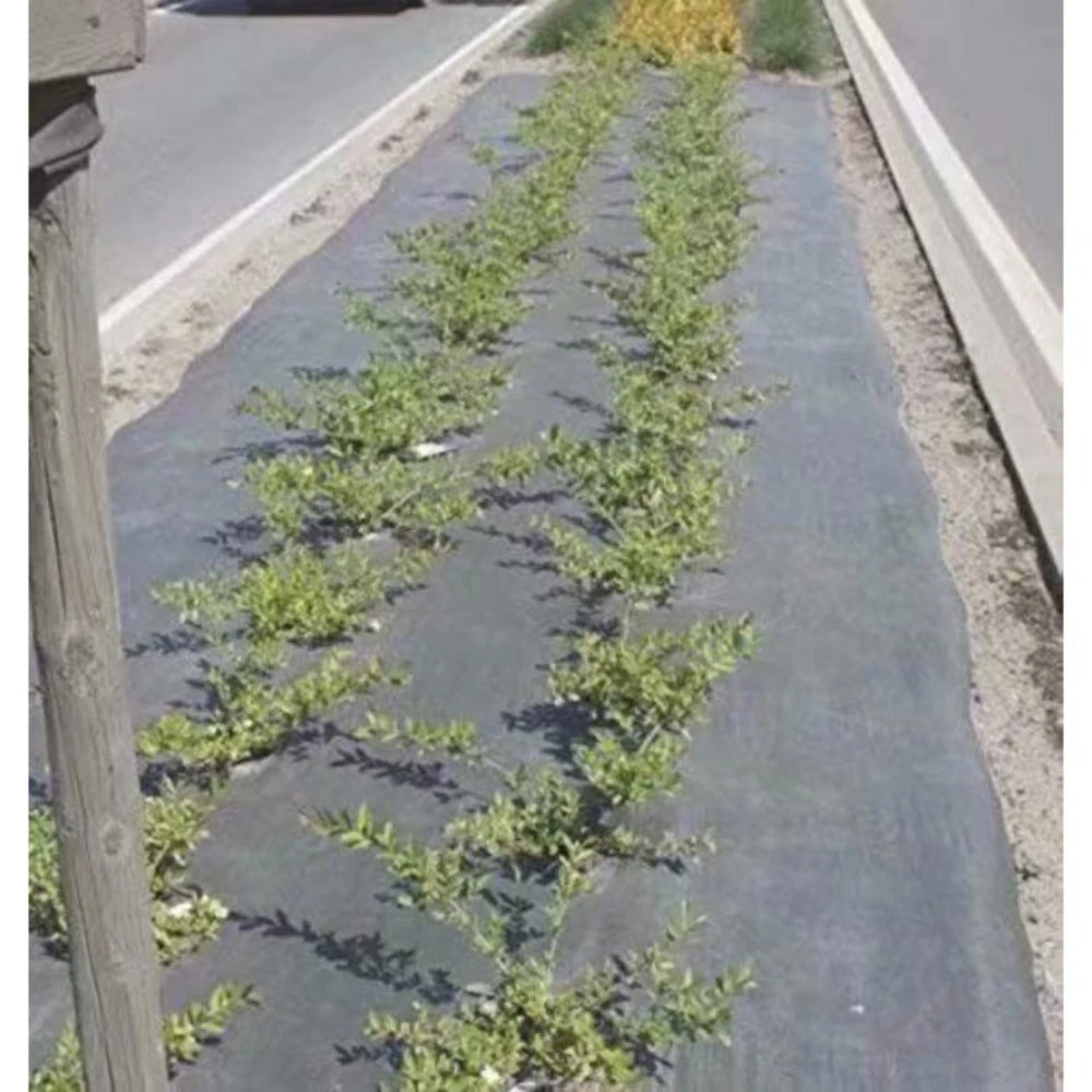 3 ft. x 12 ft. 3.0 oz. Weed Block for Raised Bed
Planting Hole 4 in.