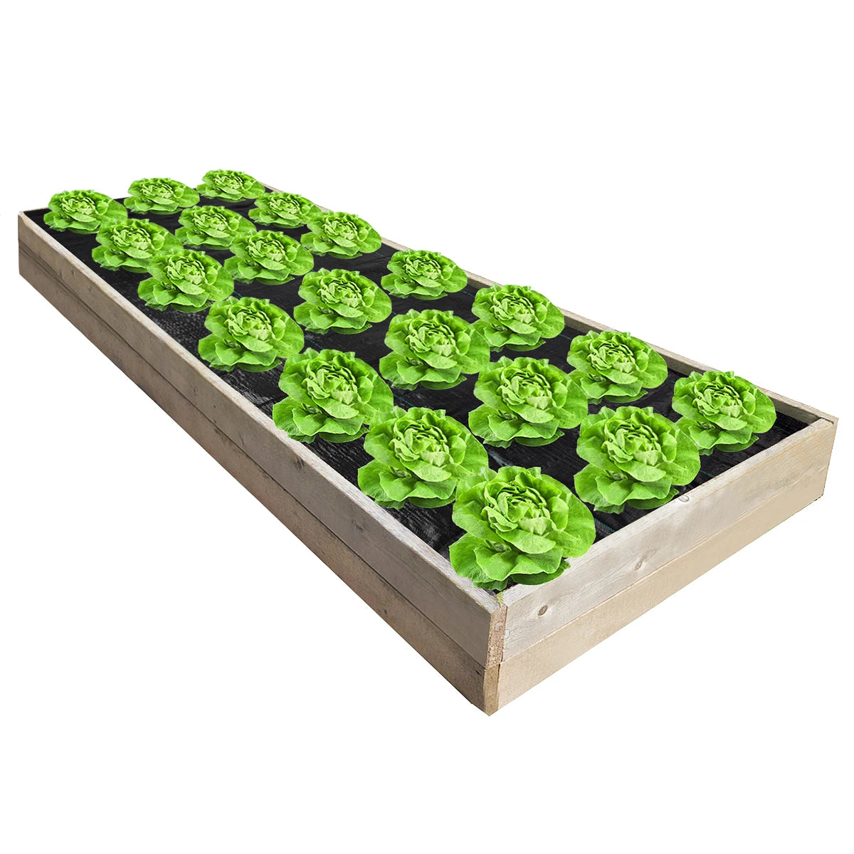 4 ft. x 12 ft. 4 in. Dia 3.0 oz. Plant Weed Block