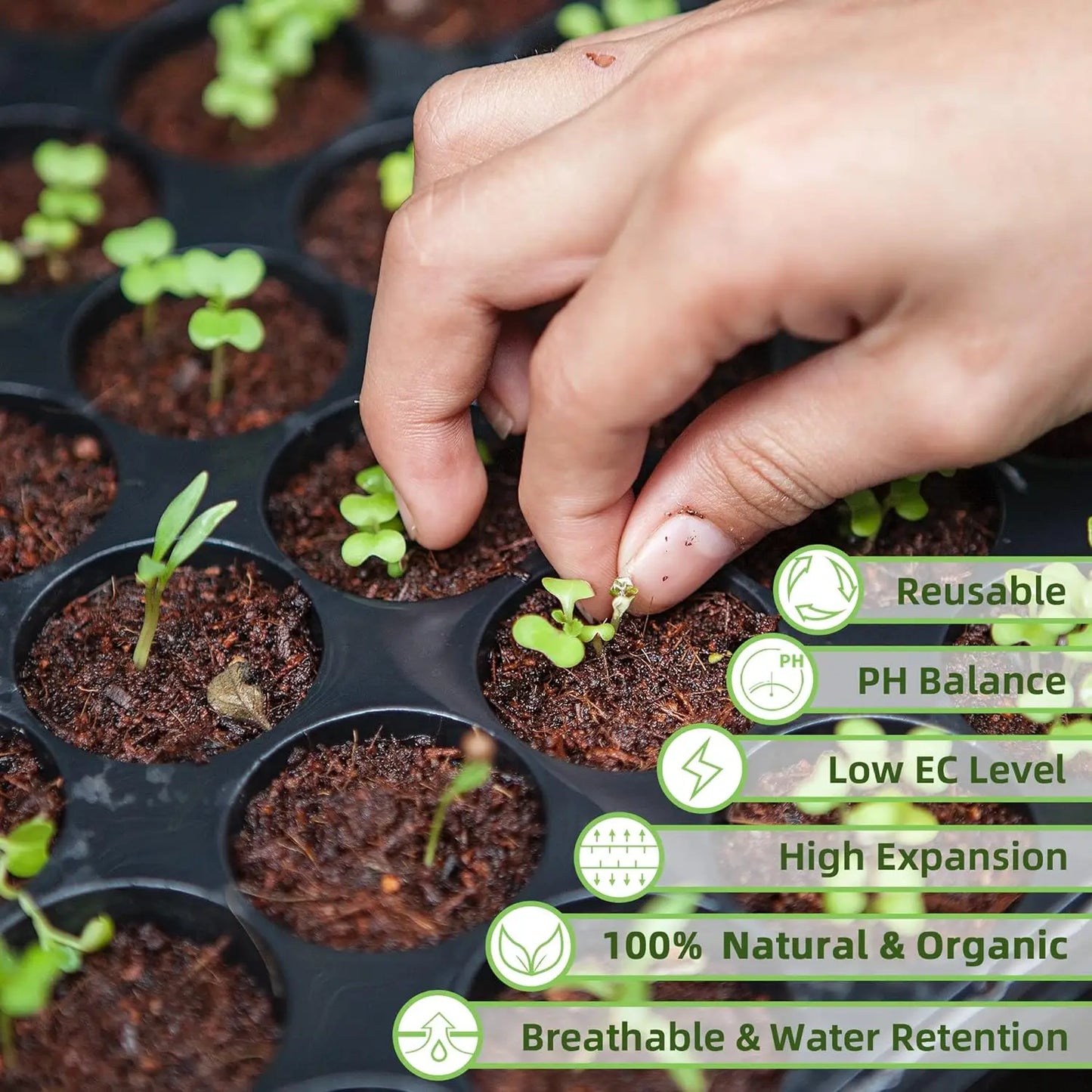 12pcs Coco Coir Brick for Plants