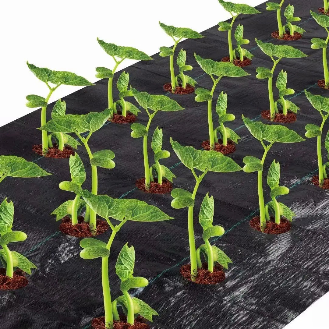 3 ft. x 12 ft. 3.0 oz. Weed Block for Raised Bed
Planting Hole 4 in.