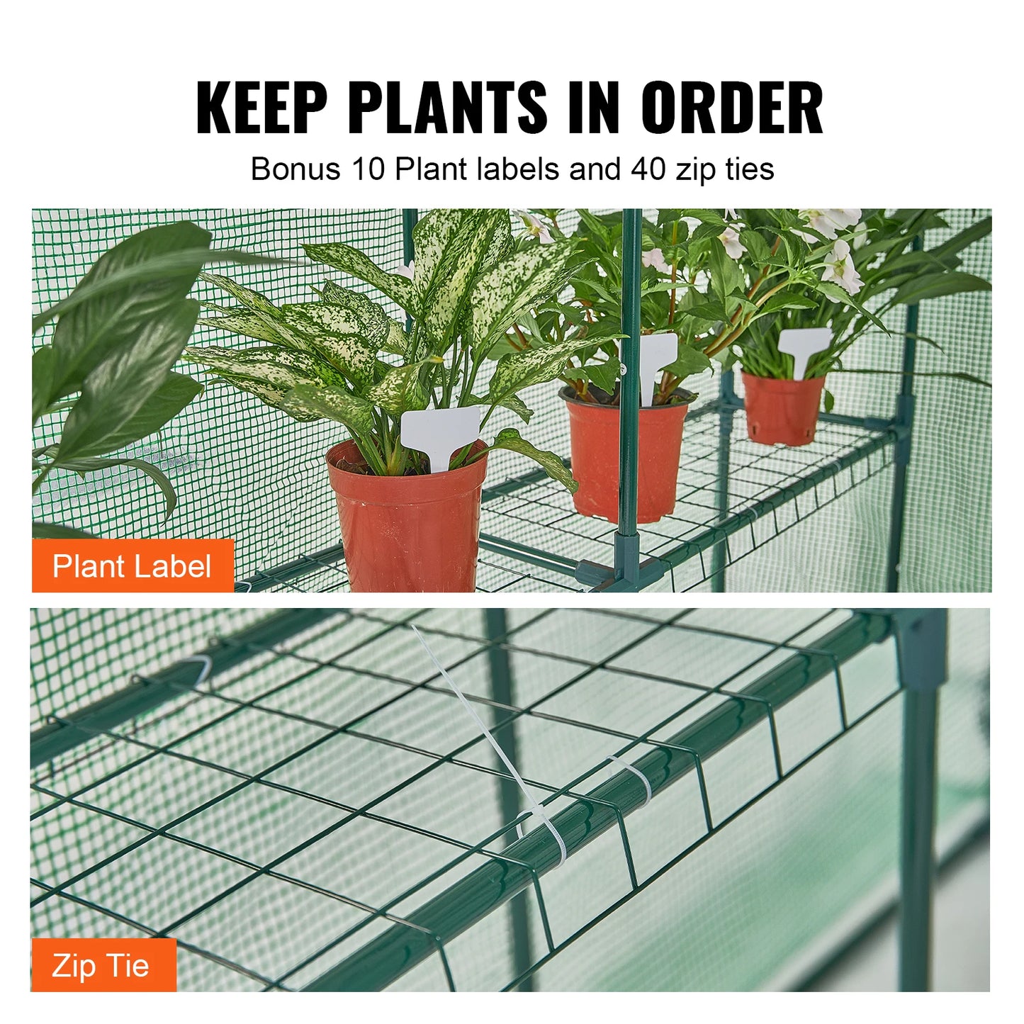 Walk-in Green House Greenhouse with Shelves
