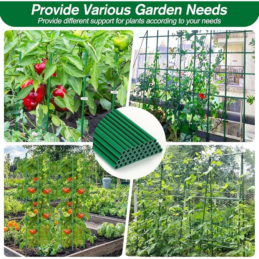123PCS Garden Tomato Stakes Kit, 36 Fiberglass Supports