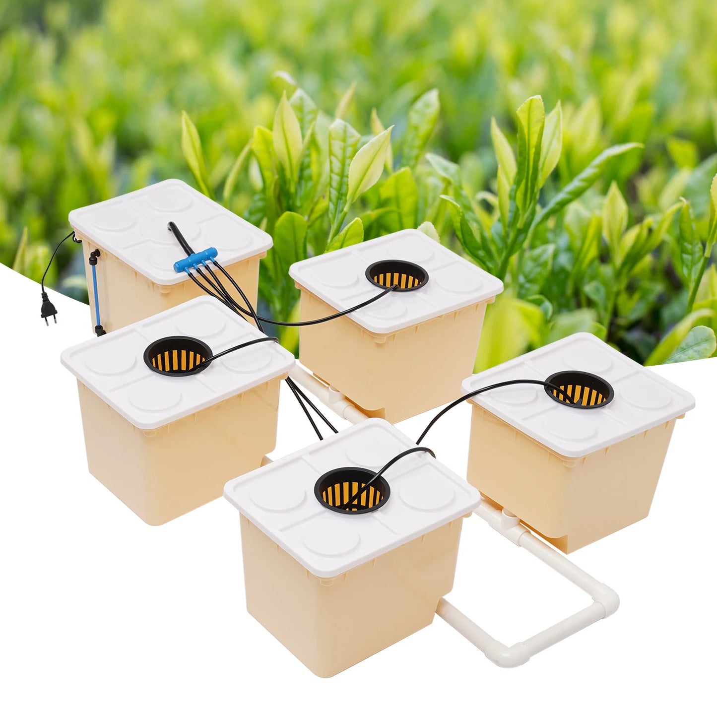Hydroponics Dutch Bucket Drip Growing System