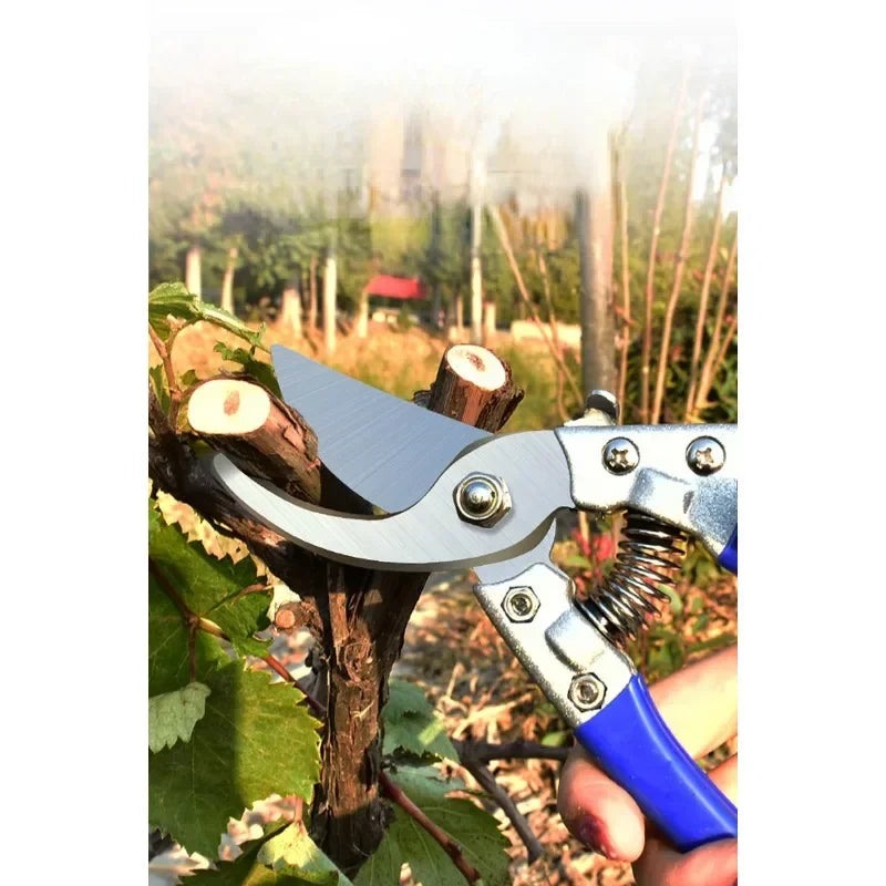 SK5 Pruning Scissors Grafting Tool Gardener Scissor