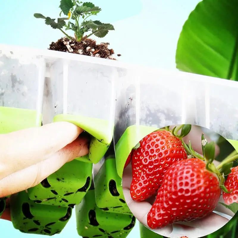 Silicone Reusable Seedling Starter Trays Potted Planting