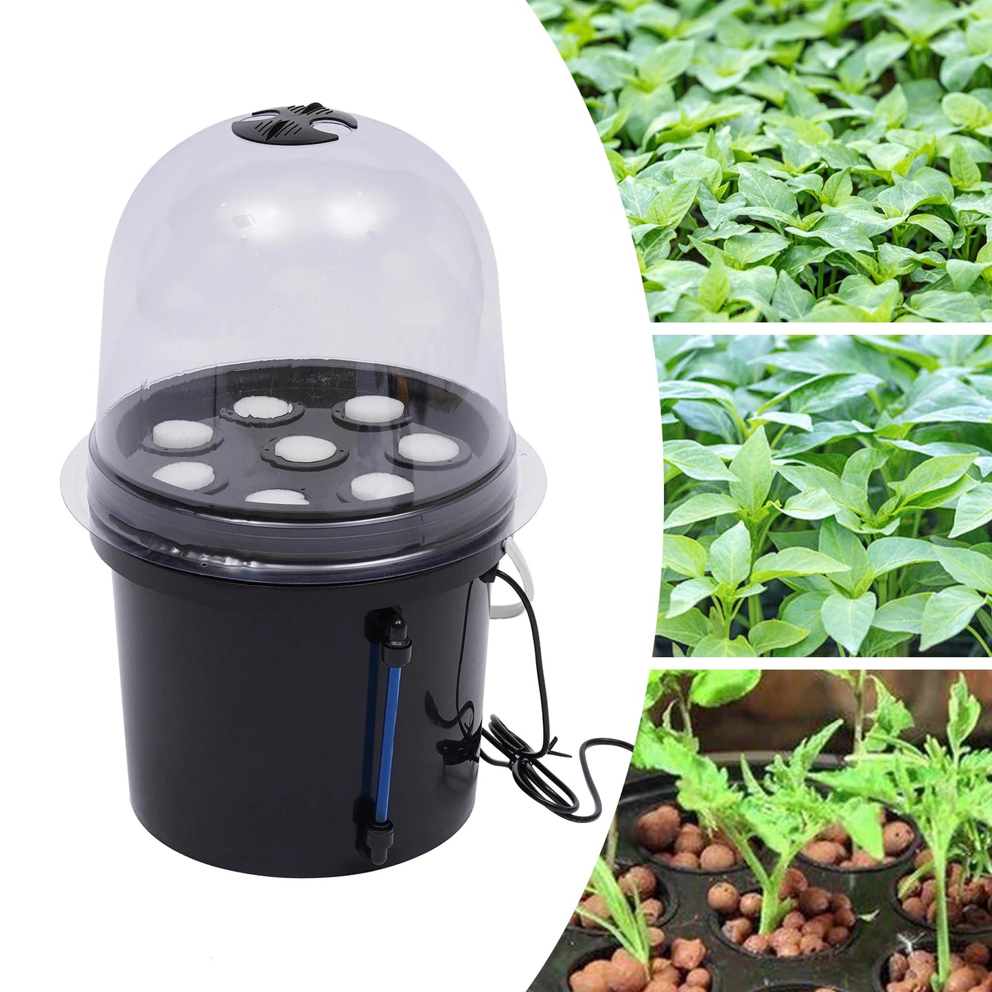 Hydroponic Grower, 8-hole Soilless Grower System