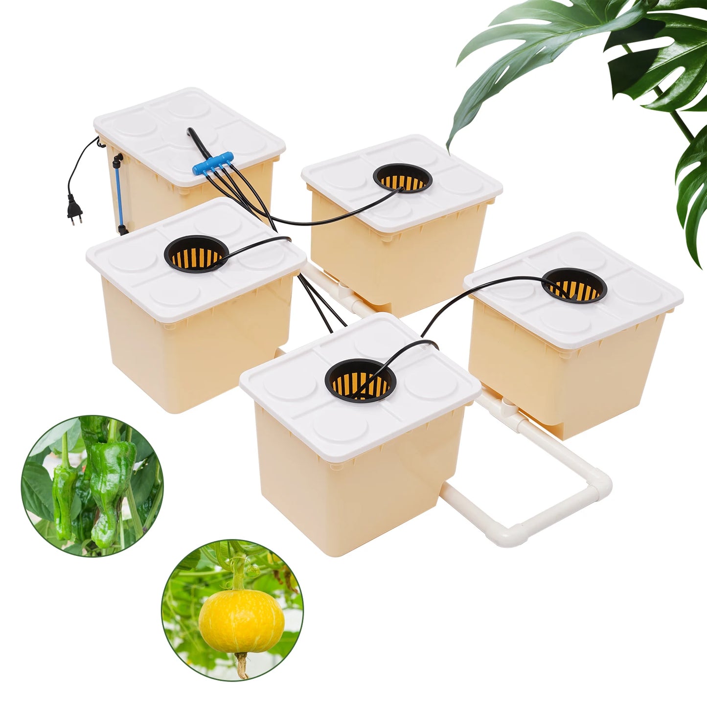 Hydroponics Dutch Bucket Drip Growing System