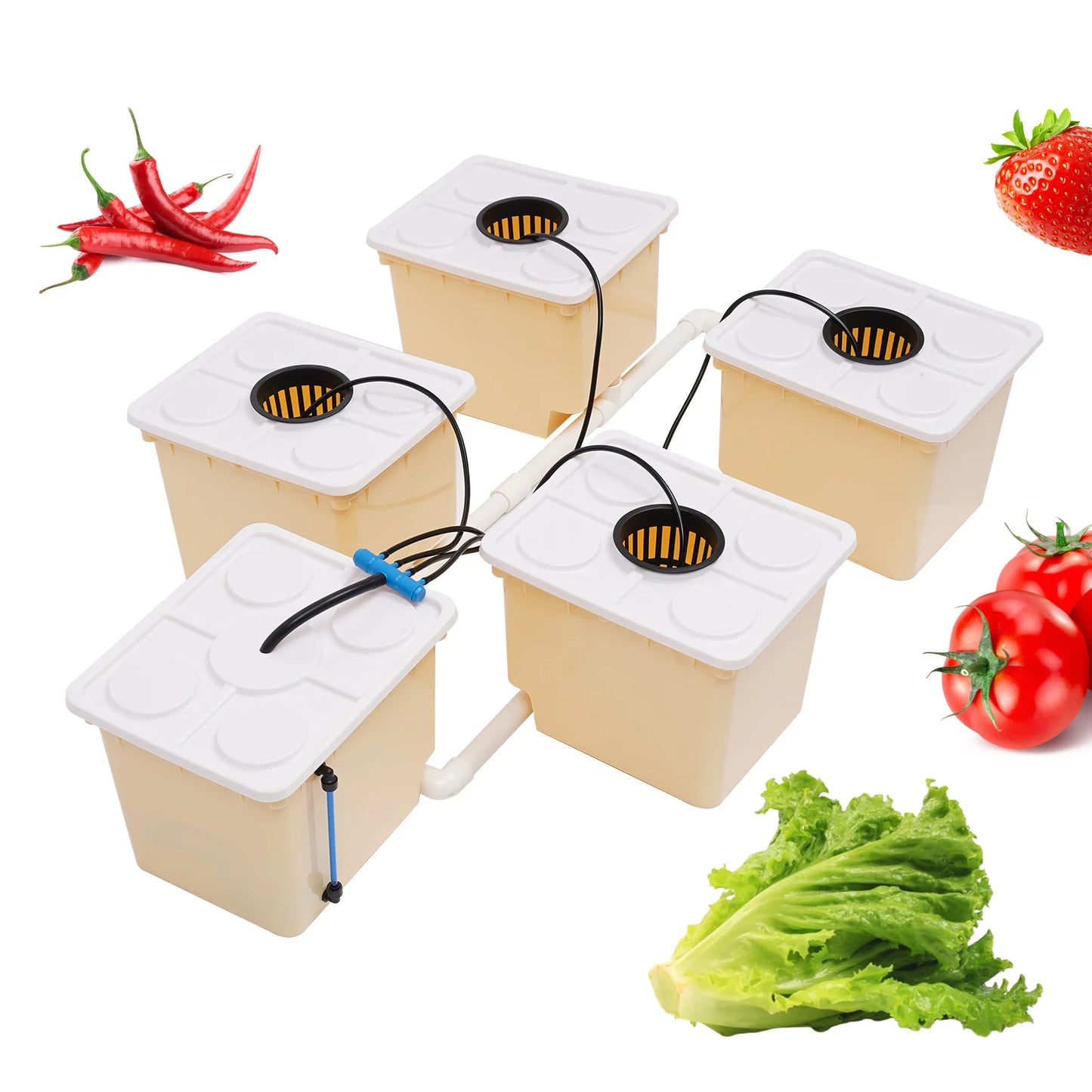 Hydroponics Dutch Bucket Drip Growing System