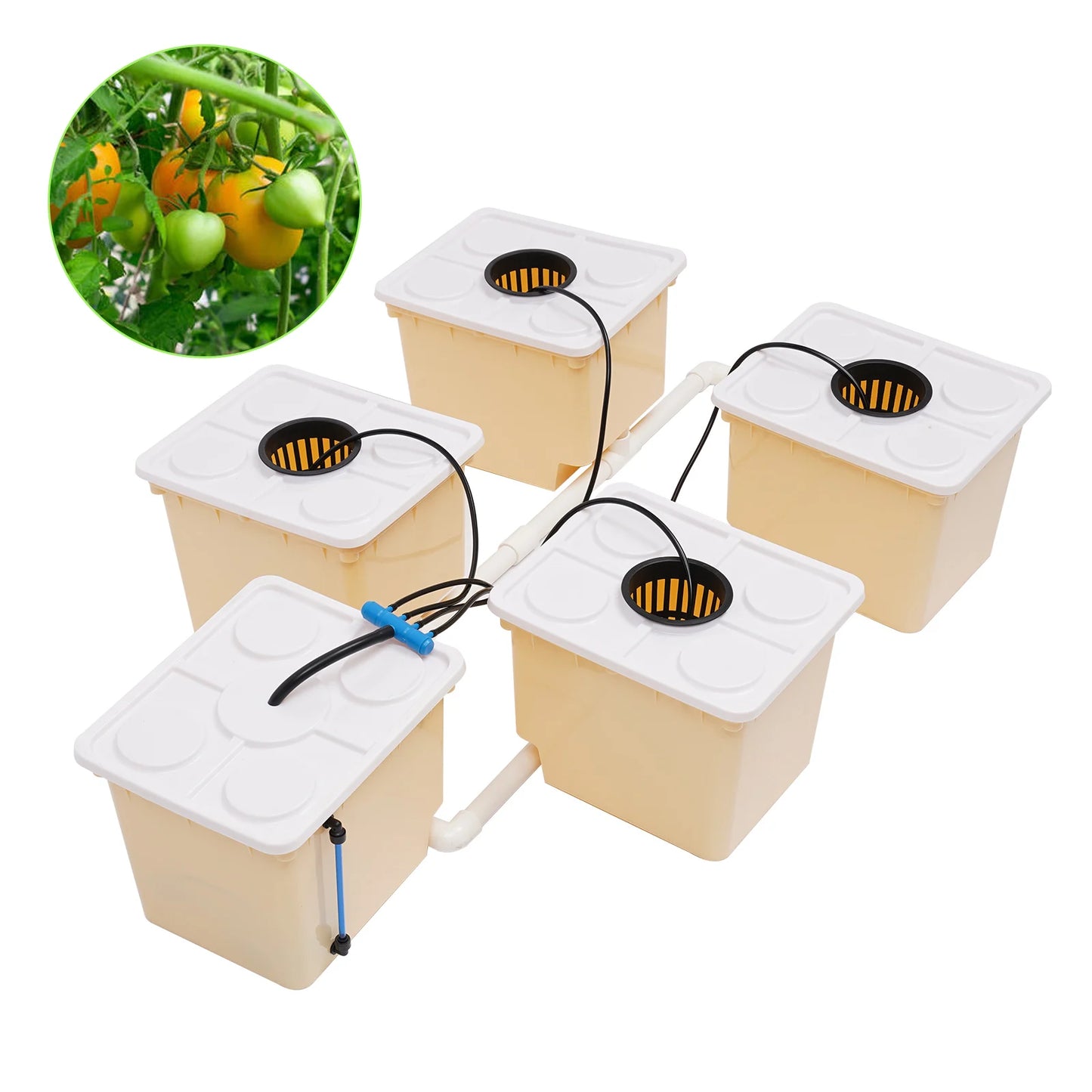 Hydroponics Dutch Bucket Drip Growing System