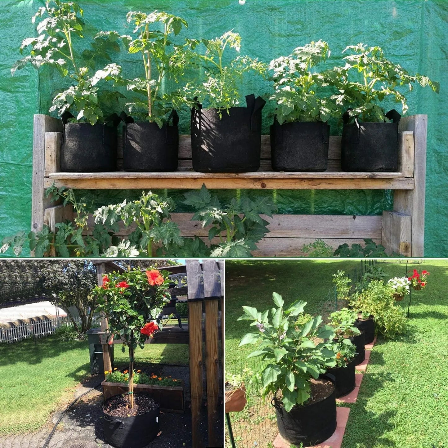 5 Gallon Grow Bags With Handles