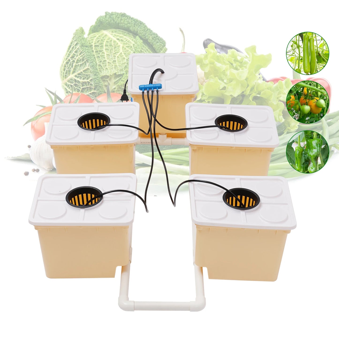 Hydroponics Dutch Bucket Drip Growing System
