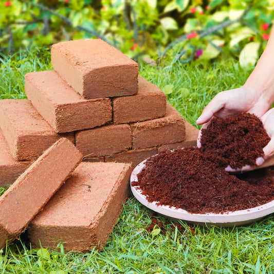 12pcs Coco Coir Brick for Plants
