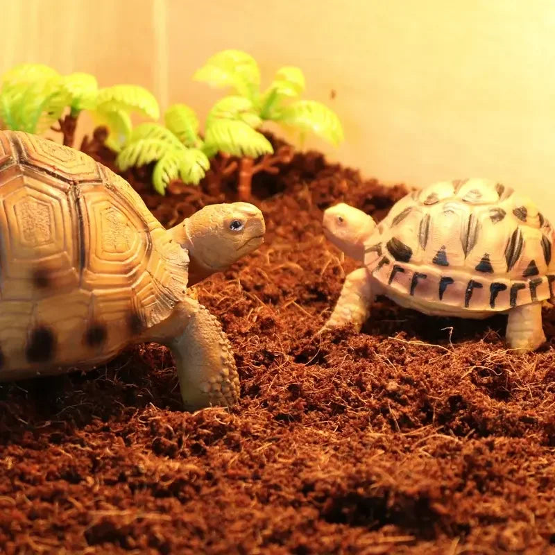 12pcs Coco Coir Brick for Plants