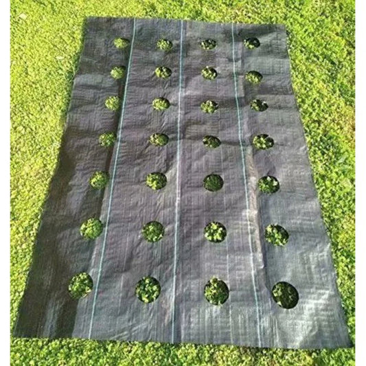 3 ft. x 12 ft. 3.0 oz. Weed Block for Raised Bed 
 Planting Hole 4 in.