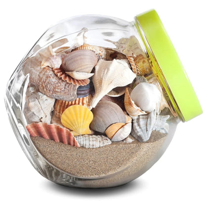 Desert Sand Soil Cover Terrariums Indoor Gardens 5 lb