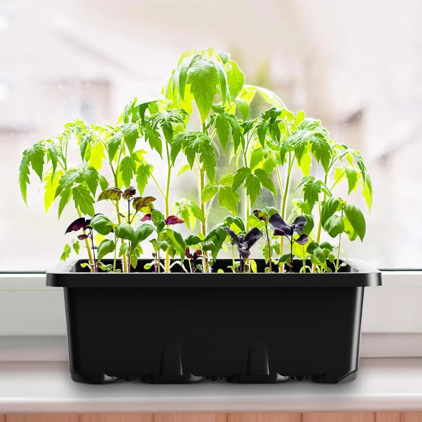 Planting Box Mini Greenhouse Plant Starter Kit