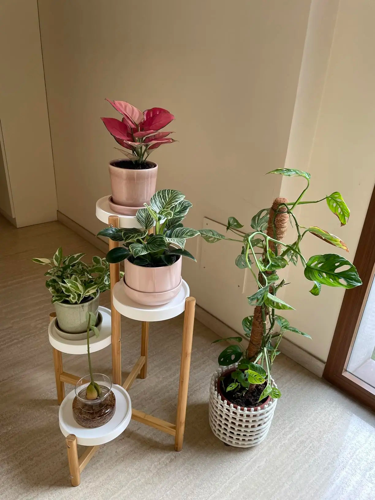 4 Tier Plant Display Shelf Stand Bamboo Plant Rack