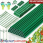 123PCS Garden Tomato Stakes Kit, 36 Fiberglass Supports