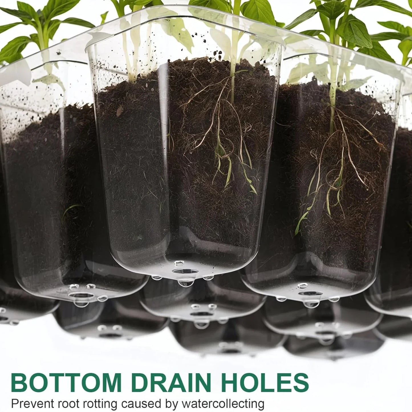 Planting Box Mini Greenhouse Plant Starter Kit